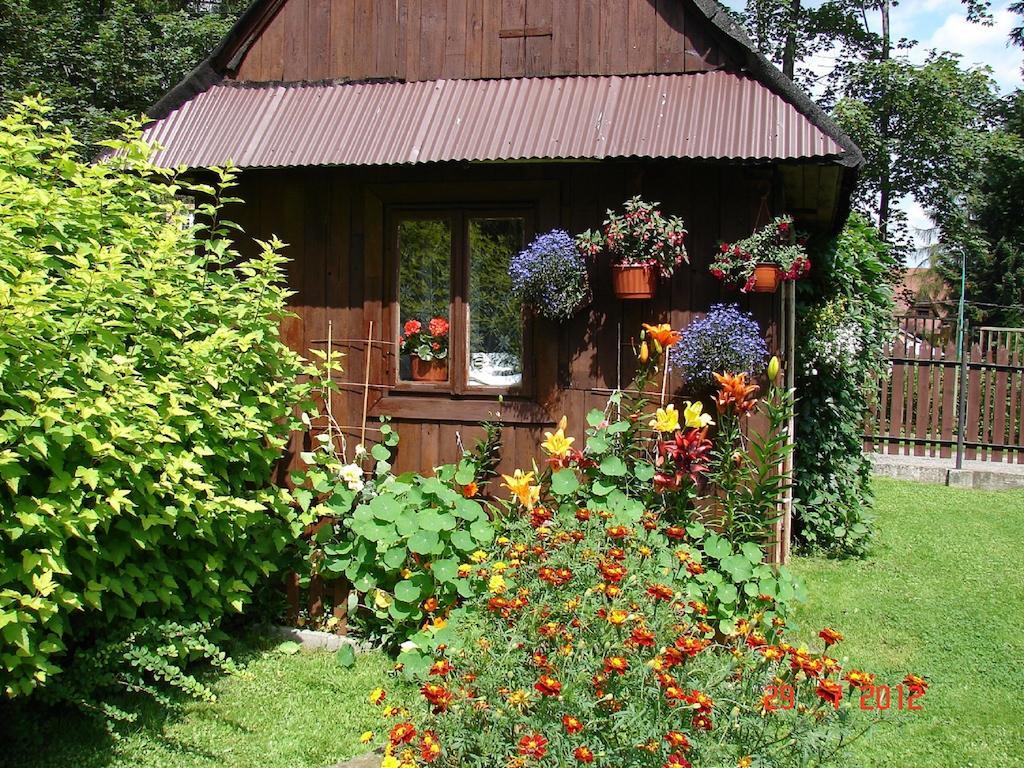 Ferienwohnung Modrzew Zakopane Exterior foto